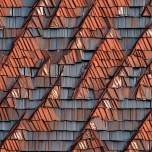 business news for Best Metal Roofing 